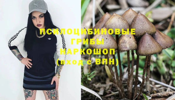 трава Алзамай