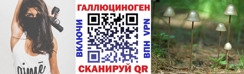 купить цена Суджа Псилоцибиновые грибы мухоморы